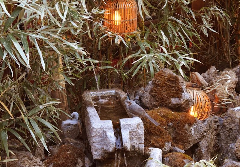 Spa candles and stones